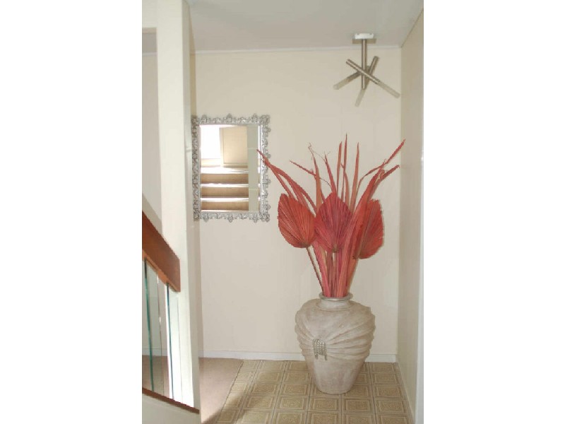 414 Hawthorne Road, Bulimba QLD 4171