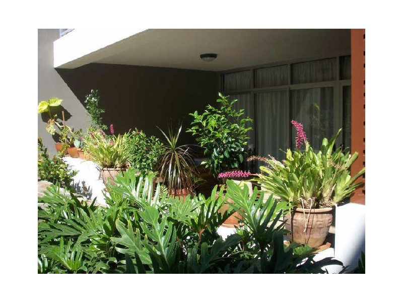 65/25 Love Street, Bulimba QLD 4171