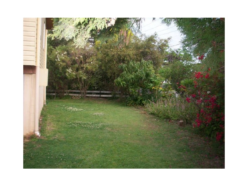 71 Harrison Street, Bulimba QLD 4171