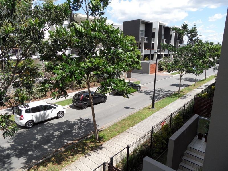 50/21 Love Street, Bulimba QLD 4171