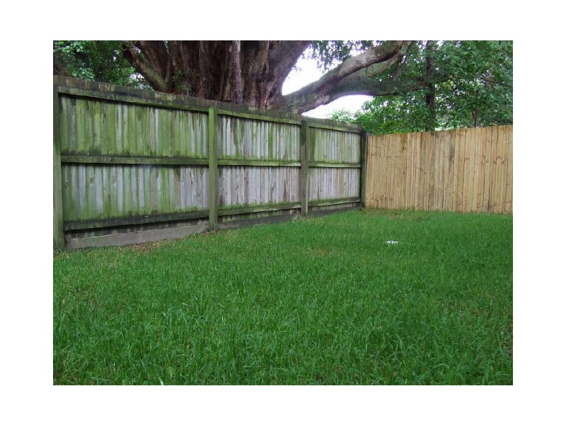 3/284 Wynnum Road, Norman Park QLD 4170