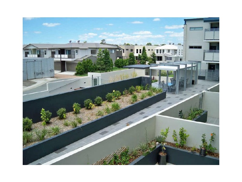 25/70 Love Street, Bulimba QLD 4171