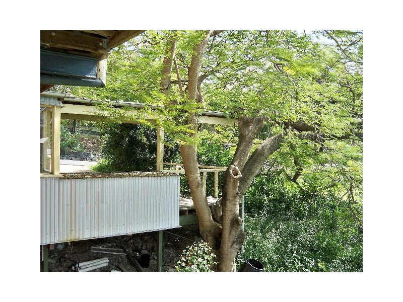 19 Pollock Street, Balmoral QLD 4171