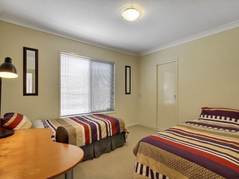 52 McConnell Street, Bulimba QLD 4171