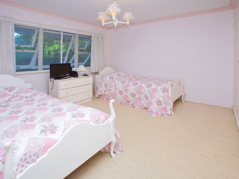 17 Vista Street, Balmoral QLD 4171