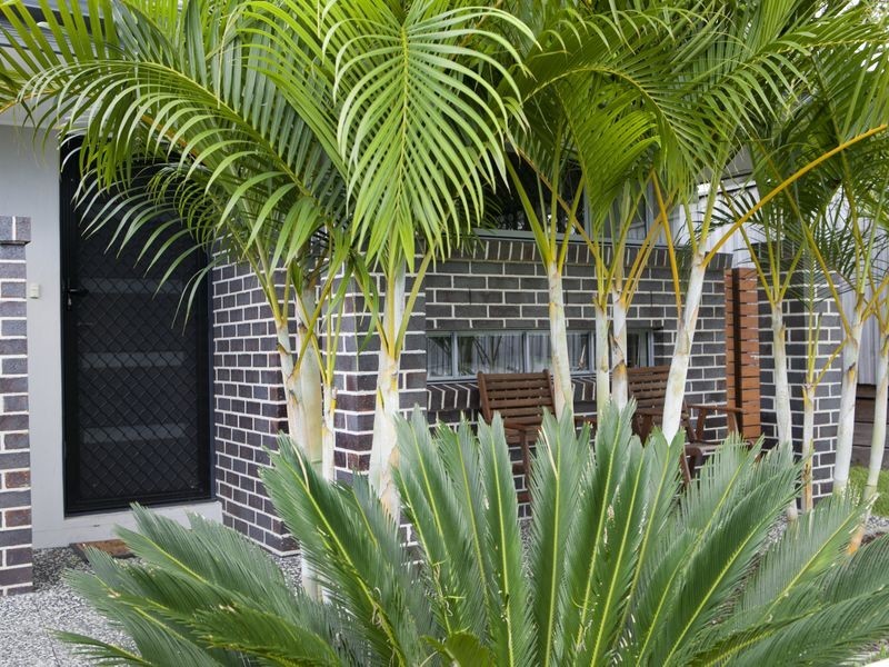 18 Rymera Crescent, Gumdale QLD 4154