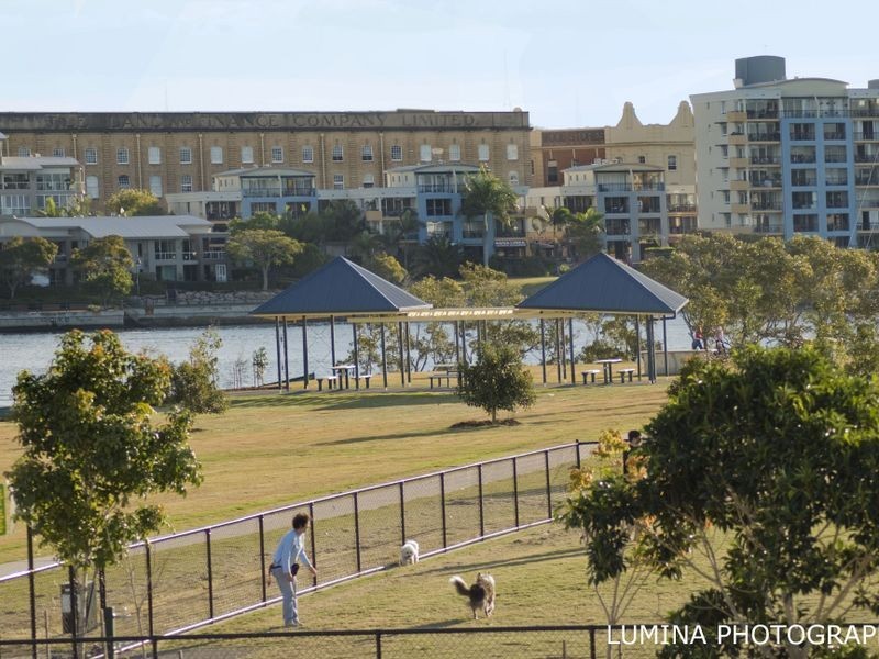 19/70 Love Street, Bulimba QLD 4171