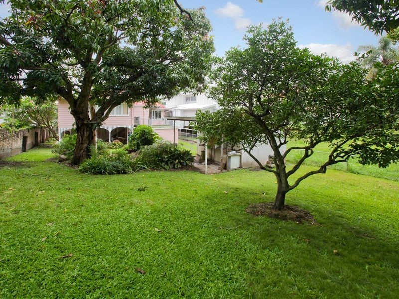 19 Henderson Street, Bulimba QLD 4171