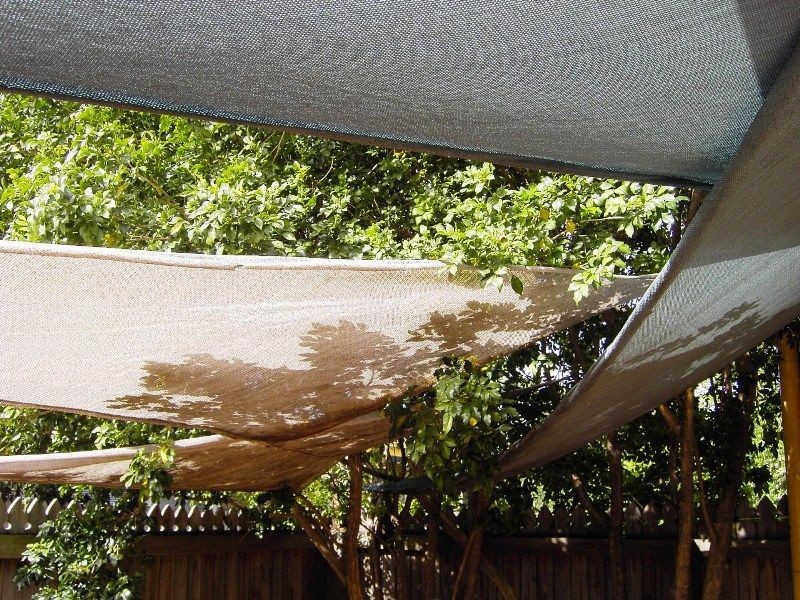 East Brisbane QLD 4169