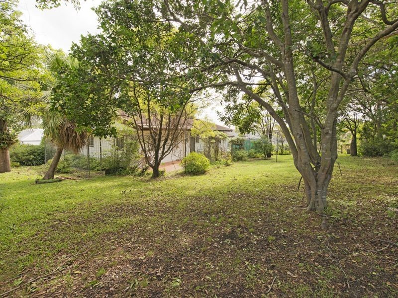 58 Henderson Street, Bulimba QLD 4171