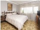 Bulimba QLD 4171