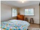 55 Apollo Road, Bulimba QLD 4171
