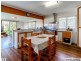 55 Apollo Road, Bulimba QLD 4171