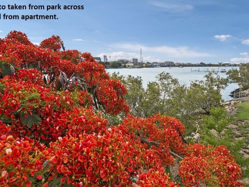 5/18 Riverbend Place, Bulimba QLD 4171