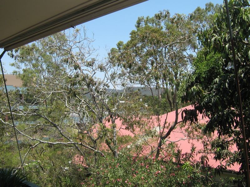 6/31 Chasely Street, Auchenflower QLD 4066