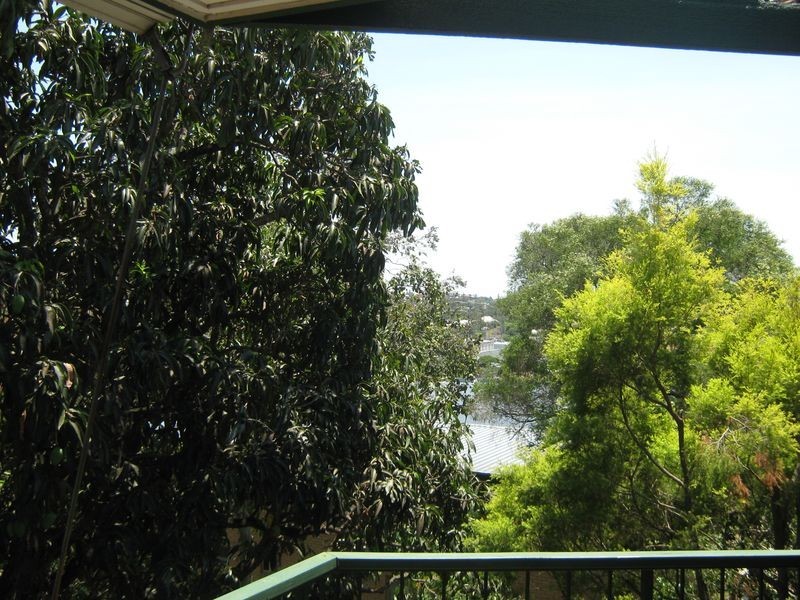 6/31 Chasely Street, Auchenflower QLD 4066