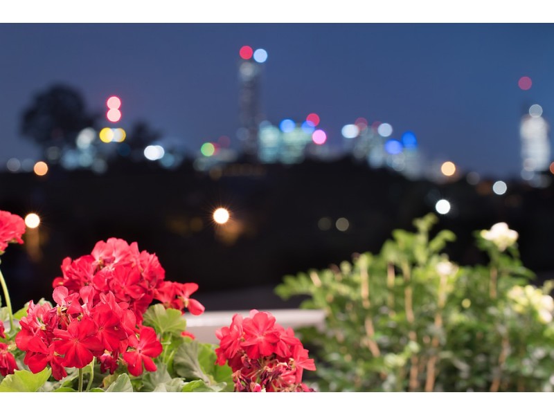 37 Prince Street, Paddington QLD 4064