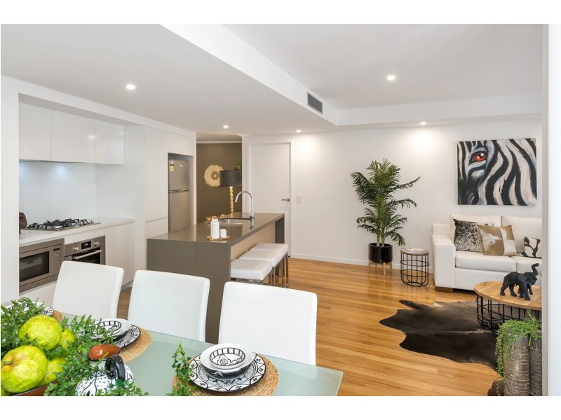 56 Bellevue Terrace, St Lucia QLD 4067