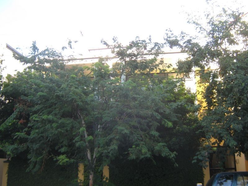 24/177 Merthyr Road, New Farm QLD 4005