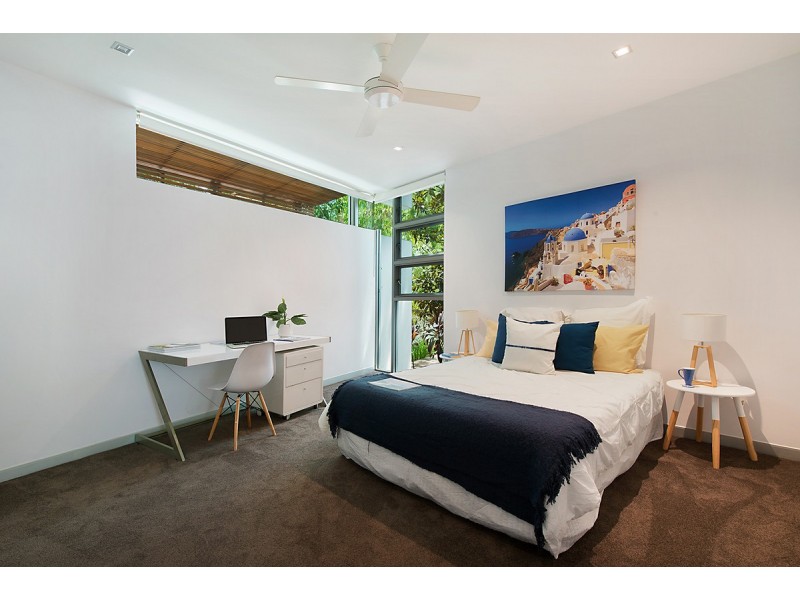 41 Brisbane Corso, Fairfield QLD 4103