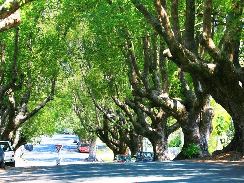 20 Abbott Street, New Farm QLD 4005