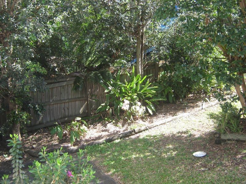 20 Pine Street, Hamilton QLD 4007