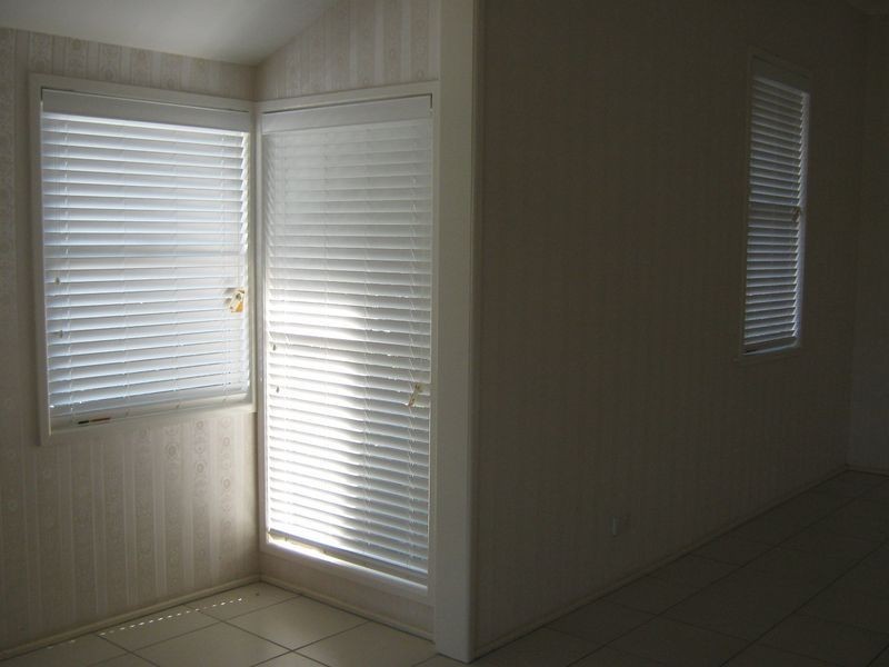 20 Pine Street, Hamilton QLD 4007