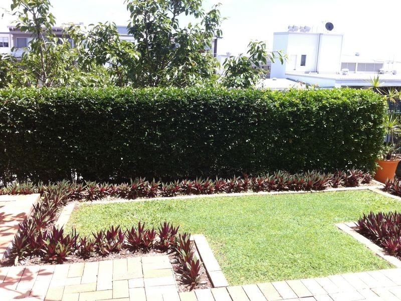 2/239 Arthur Street, Newstead QLD 4006