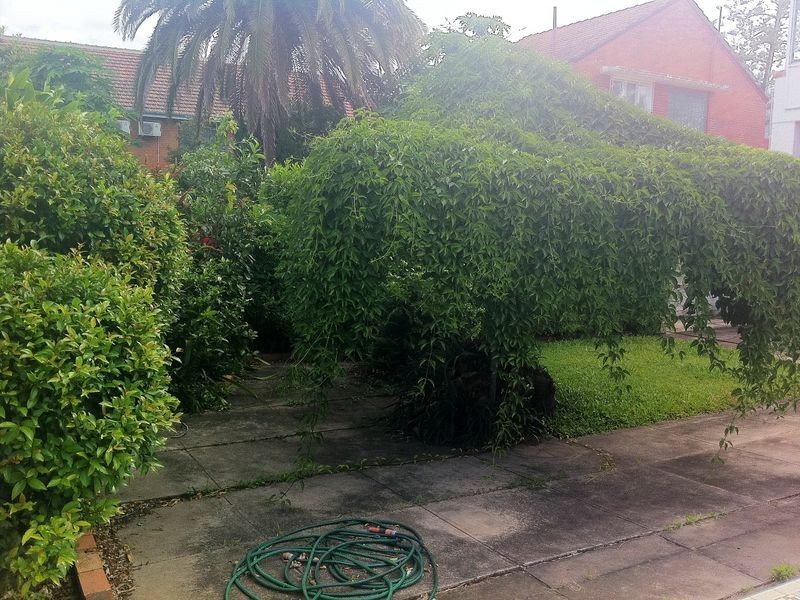 36 Oxlade Drive, New Farm QLD 4005