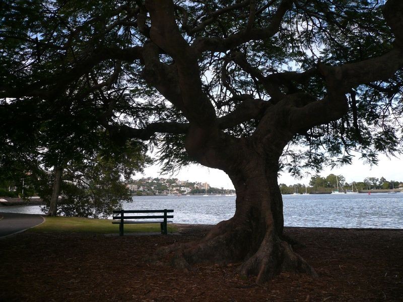 G02/49b Newstead Terrace, Newstead QLD 4006