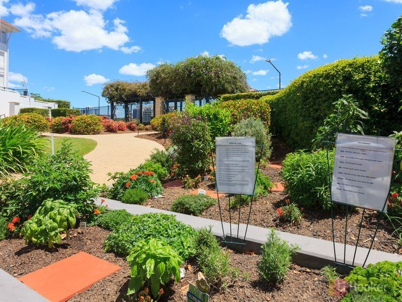 75/6 Merthyr Road, New Farm QLD 4005