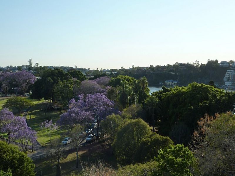 3/46 Merthyr Road, New Farm QLD 4005