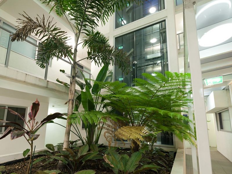 43/43 Beeston Street, Teneriffe QLD 4005