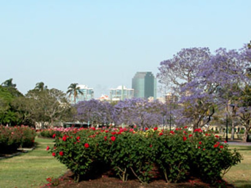 949 Brunswick Street, New Farm QLD 4005