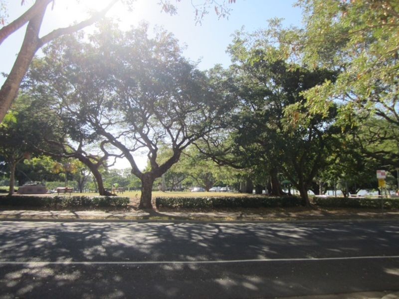 1/1019 Brunswick Street, New Farm QLD 4005