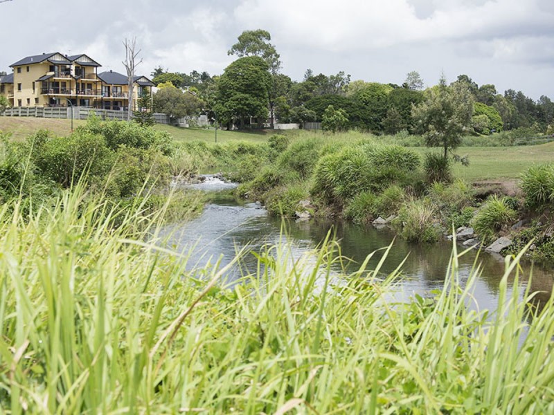 17/71 Thistle Street, Lutwyche QLD 4030