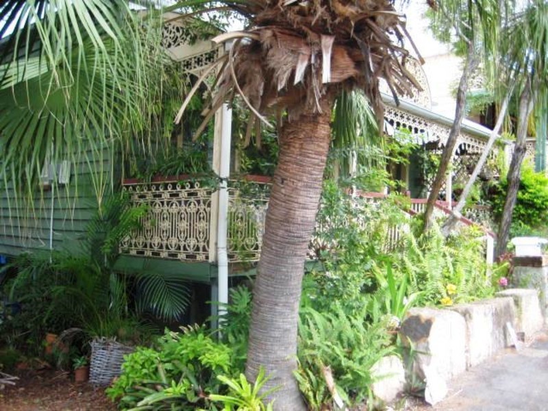 130 Fortescue Street, Spring Hill QLD 4000