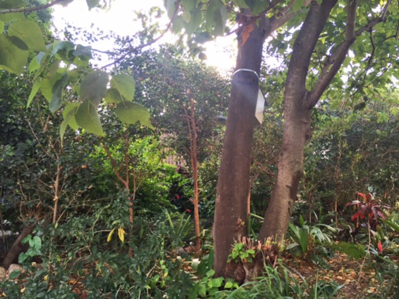 1 New Street, Nundah QLD 4012