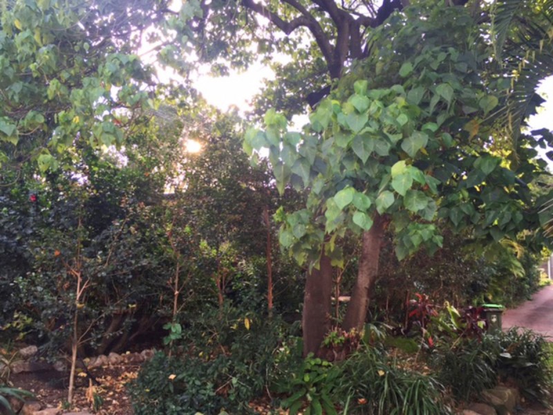 1 New Street, Nundah QLD 4012