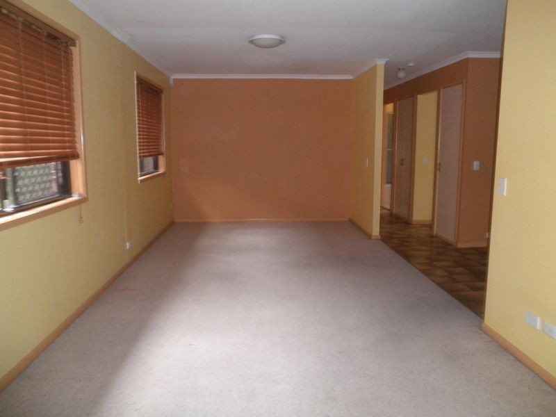 173 Ditton Road, Sunnybank QLD 4109