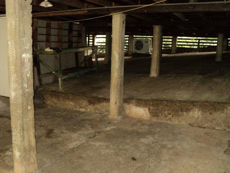 66 Broomfield Street, Taringa QLD 4068