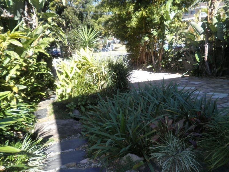 83 Oxford Terrace, Taringa QLD 4068