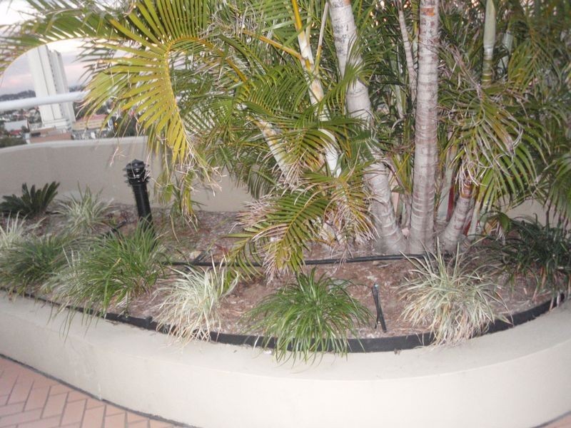 311 Vulture Street, South Brisbane QLD 4101