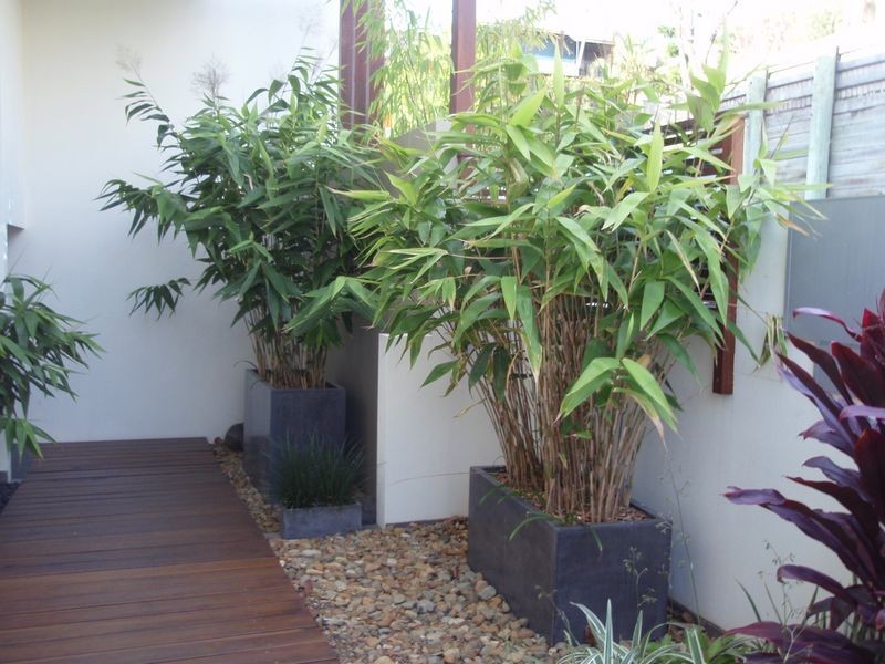6/74 Dengate Lane, St Lucia QLD 4067