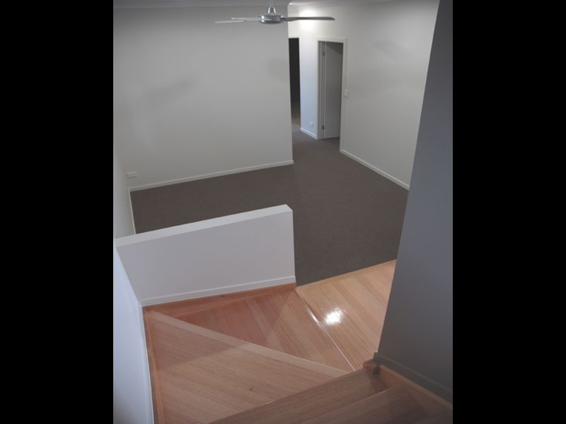 14 Michael Street, Bulimba QLD 4171