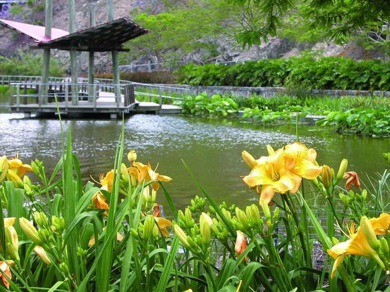 3062/3 Parkland Boulevard, Brisbane QLD 4000