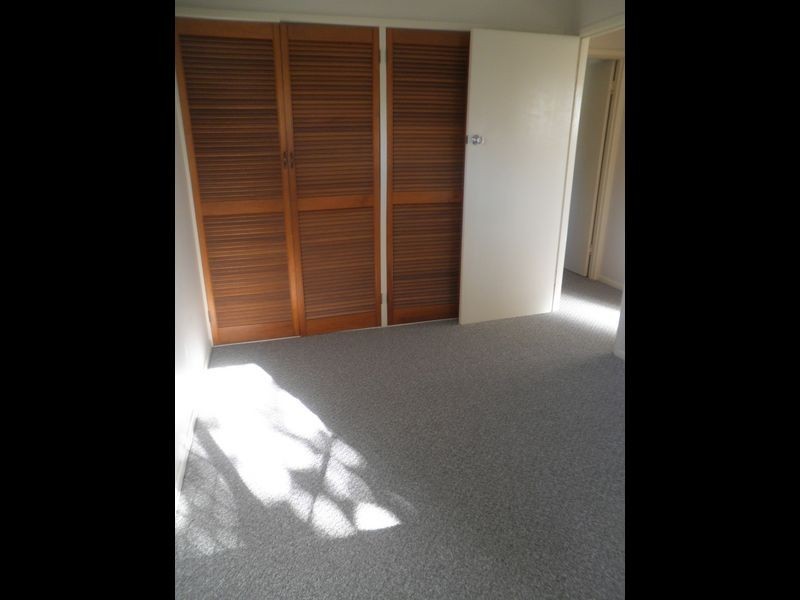 23 Macaranga St, Algester QLD 4115