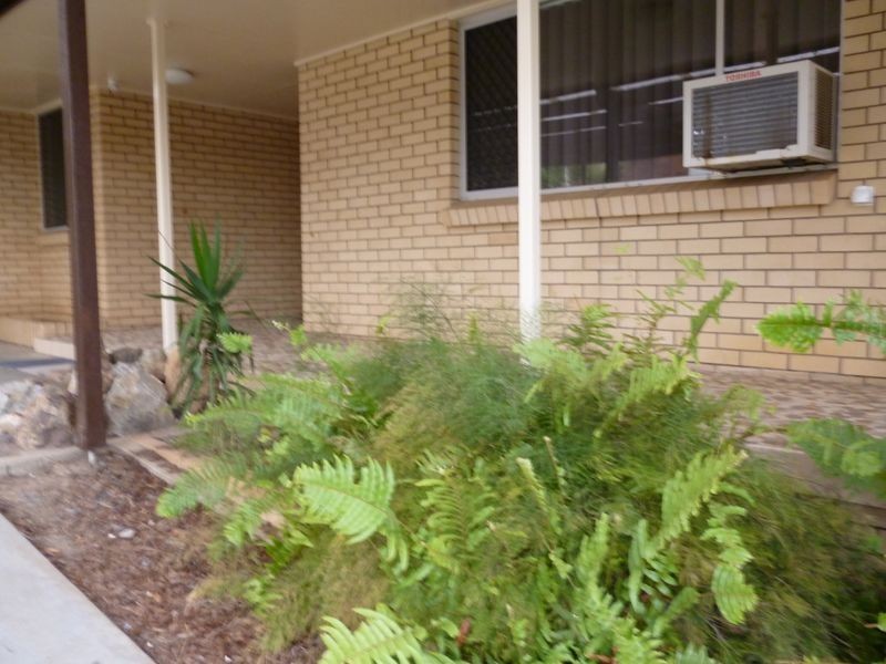 29 Raintree Street, Mansfield QLD 4122