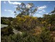 15/82 Russell Terrace, Indooroopilly QLD 4068