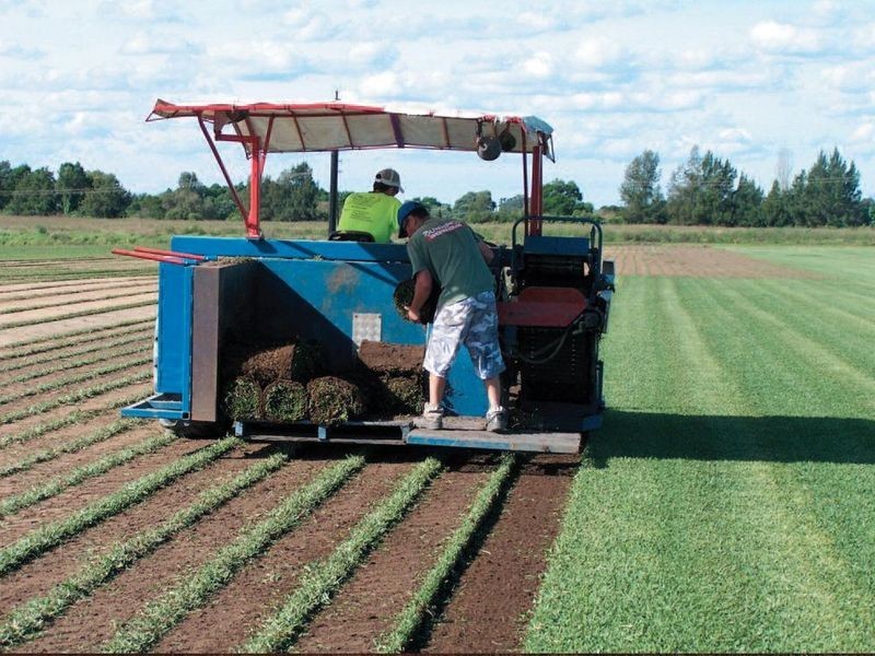 87 Cornwallis Road, Cornwallis NSW 2756